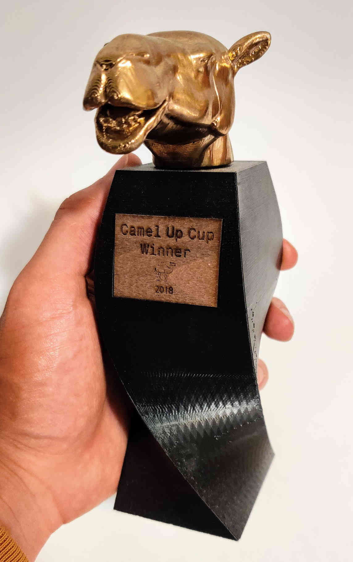The Trophy